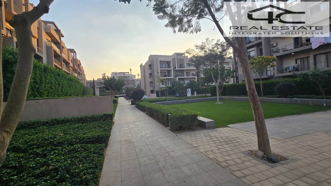 6 20251117_161549. jpg