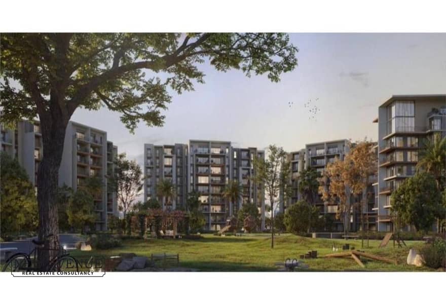 9 1e531db3-aae0-4572-b097-3efeaae7295f. jpg