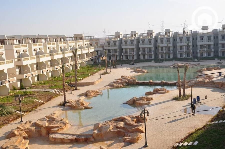 3 WhatsApp Image 2025-12-21 at 1.38. 34 PM (2). jpeg