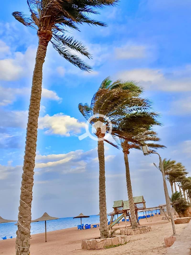 7 WhatsApp Image 2025-12-21 at 1.38. 35 PM (3). jpeg