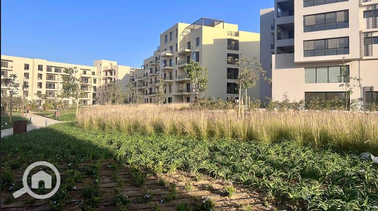 3 Screenshot 2025-06-23 121806. png