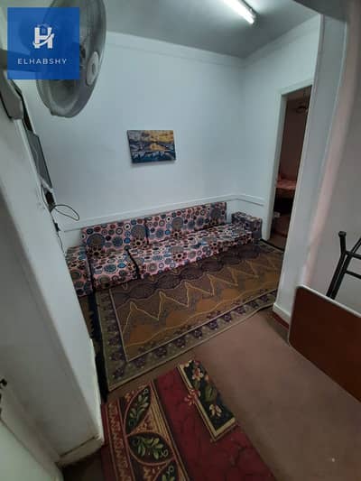 2 Bedroom Flat for Rent in Dokki, Giza - 1. jpeg