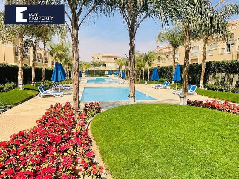 14 _files_34459. jpg