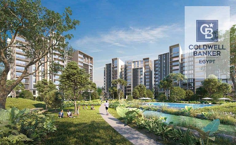 4 Ora-New-Zayed-768x471. jpg