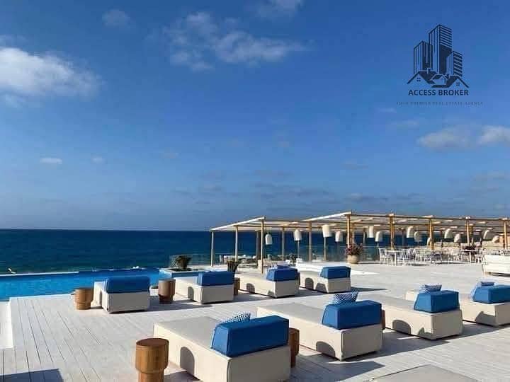 13 WhatsApp Image 2025-09-21 at 04.58. 24_07d590de. jpg