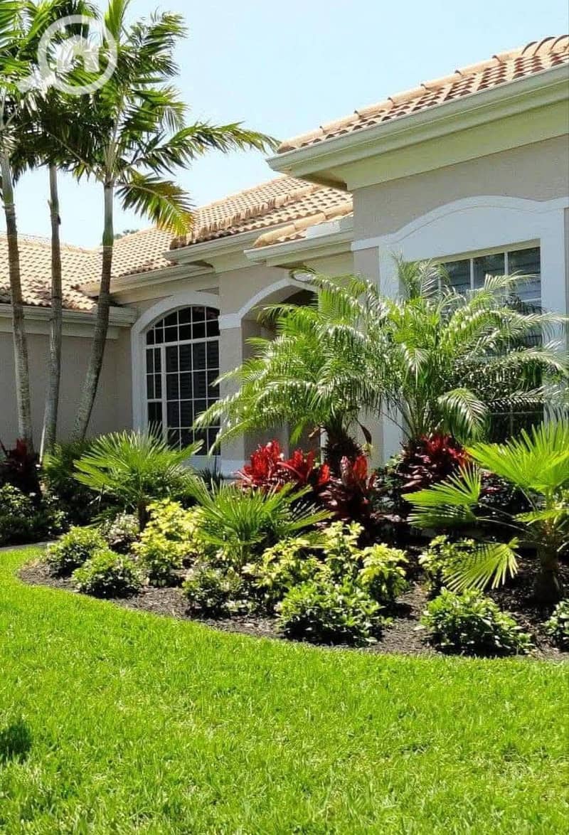 6 FB_IMG_1762660185706. jpg