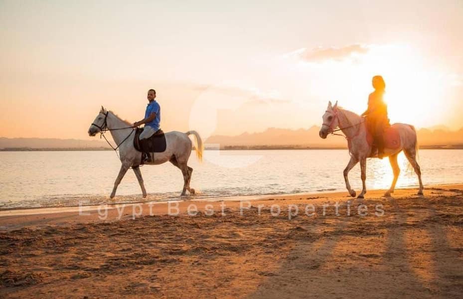 13 WhatsApp Image 2025-09-01 at 7.54. 32 PM. jpeg