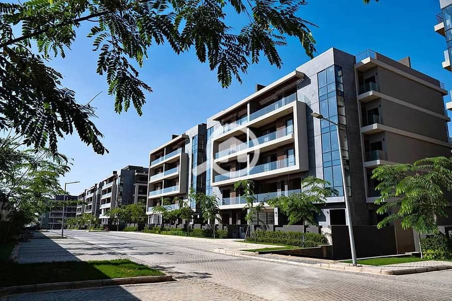 8 574576879_122135963654956646_2328393867856919894_n. jpg