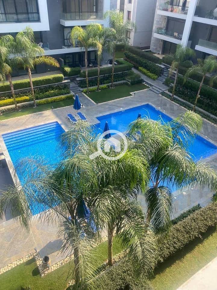 10 560050048_122133926984944771_8992289119639729806_n. jpg