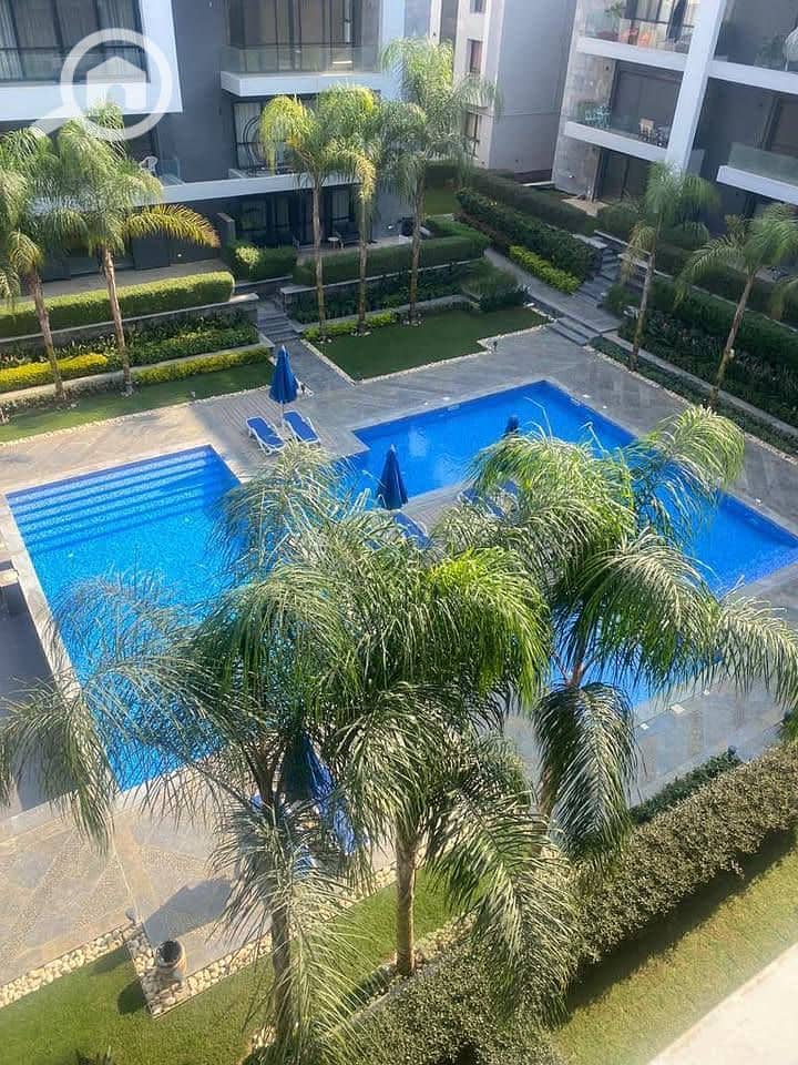 10 560050048_122133926984944771_8992289119639729806_n. jpg