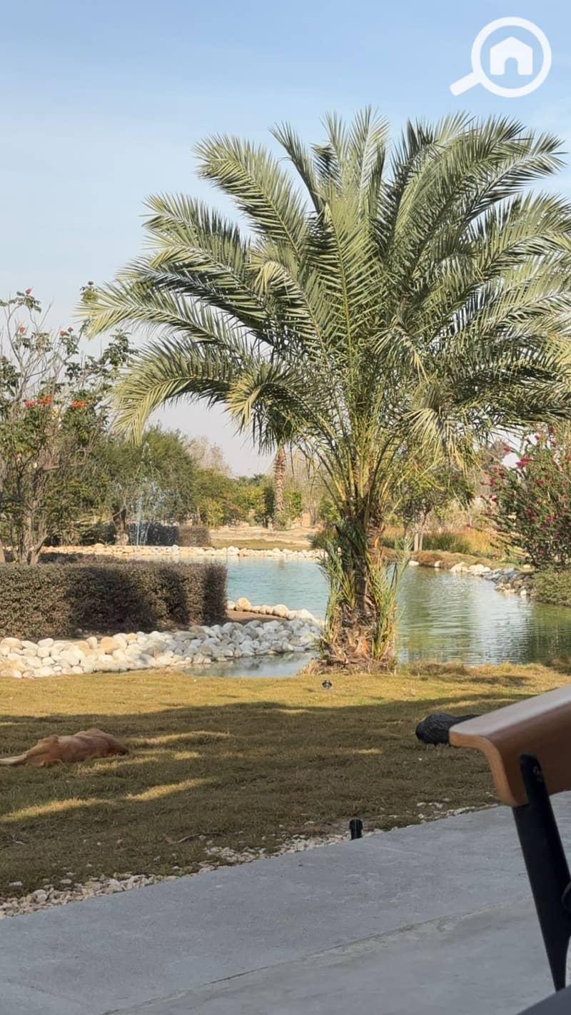 5 54289e2b-eb57-49b1-afc7-2fe7b472058f. jpg