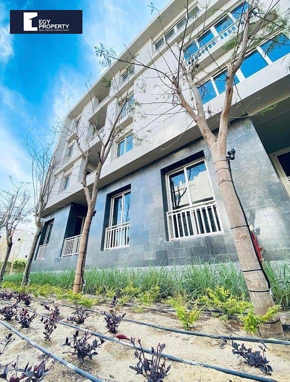 2 _files_WhatsApp Image 2025-12-08 at 23.10. 49_615b33ca. jpg