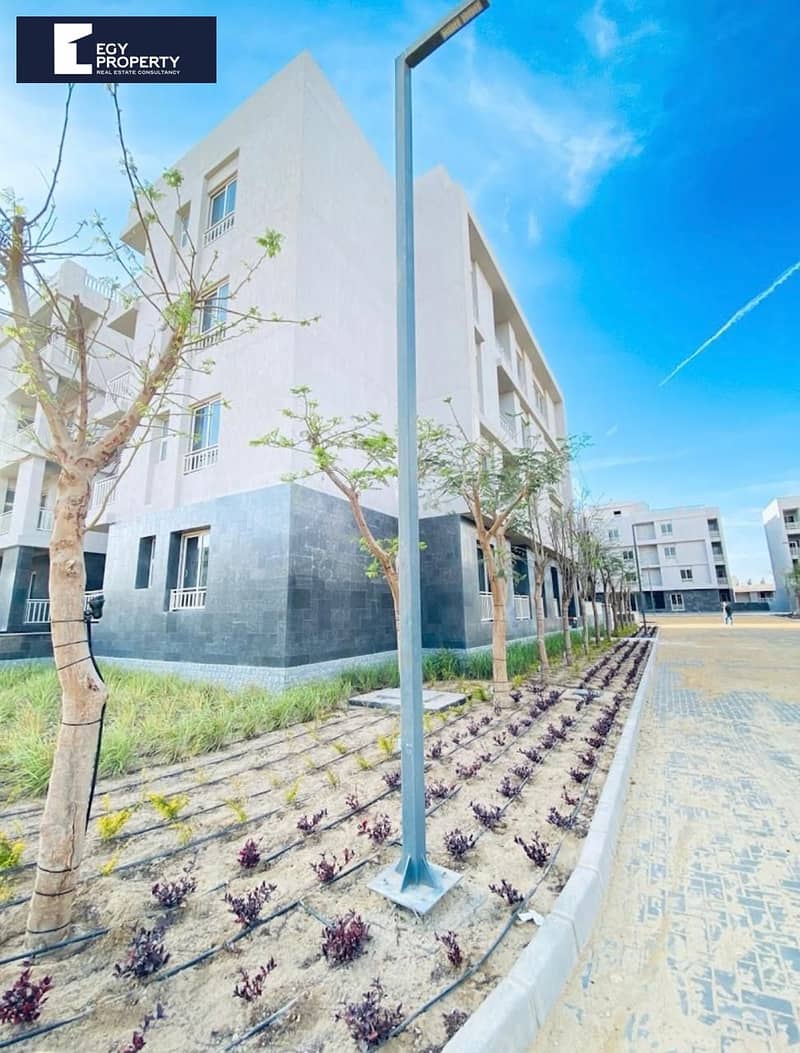 3 _files_WhatsApp Image 2025-12-08 at 23.10. 49_54501f48. jpg