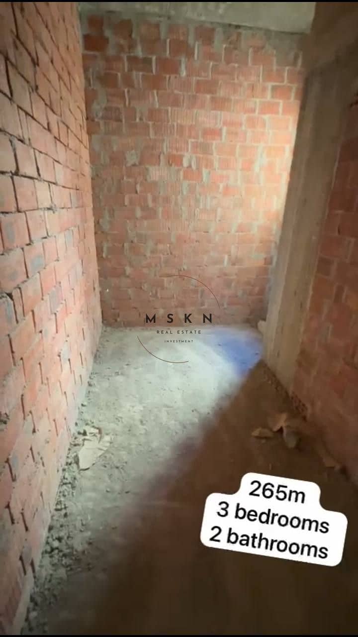 12 photo_2025-12-21 15.47. 52. jpeg