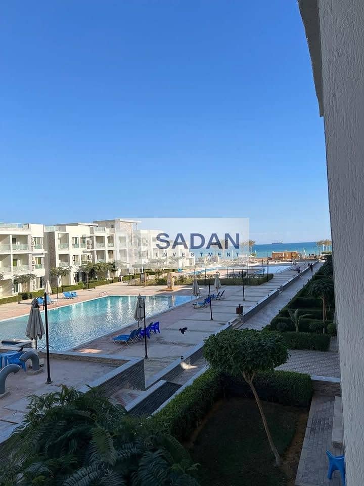 7 583297802_1858701554727778_3534072979697849798_n. jpg