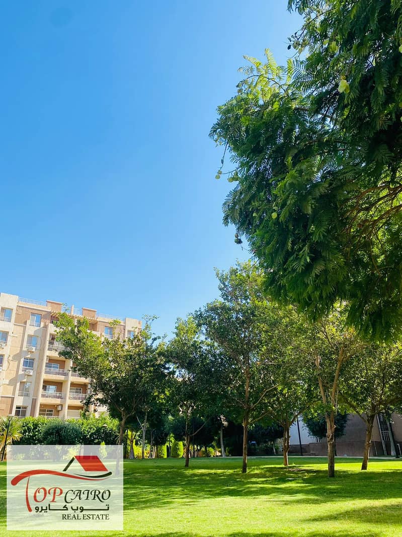 9 IMG-20251106-WA0244. jpg