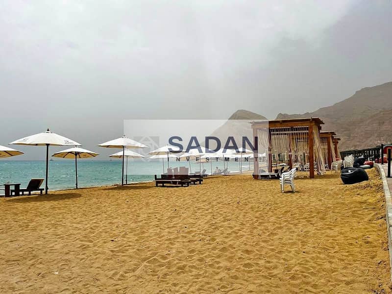 4 571125201_1566486777860241_4226887789693212297_n. jpg