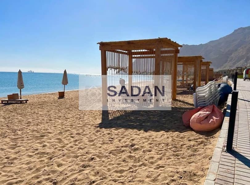 5 475286776_1294677305125617_4661448105820719794_n. jpg