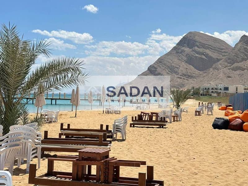 8 517928737_1242412534091581_573549997943736314_n. jpg