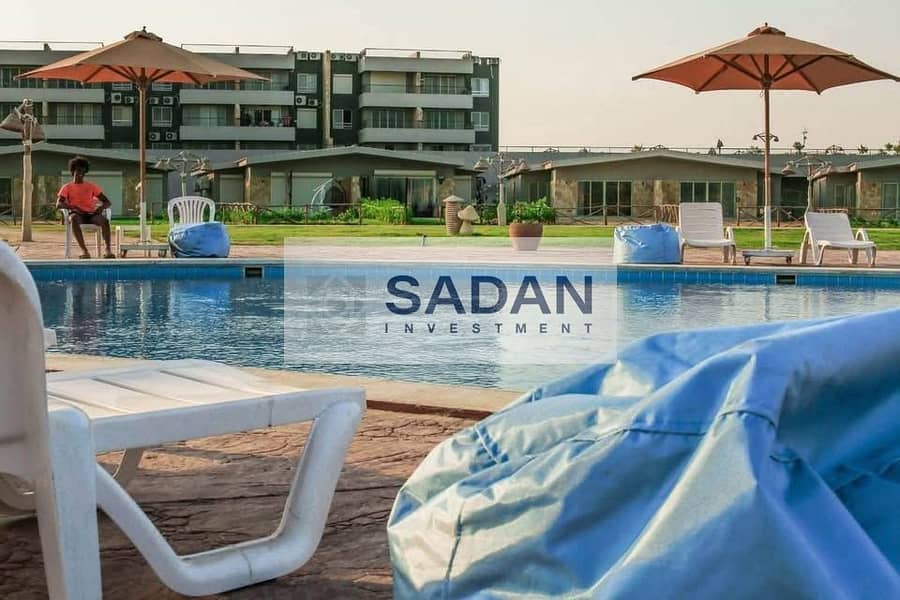 4 551775780_1348869006772418_8111937977606762240_n. jpg