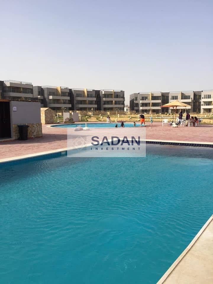 8 559784295_24711080741878546_3785449451857307361_n. jpg