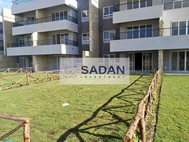 11 577761908_24993770676942883_2933054819836650702_n. jpg