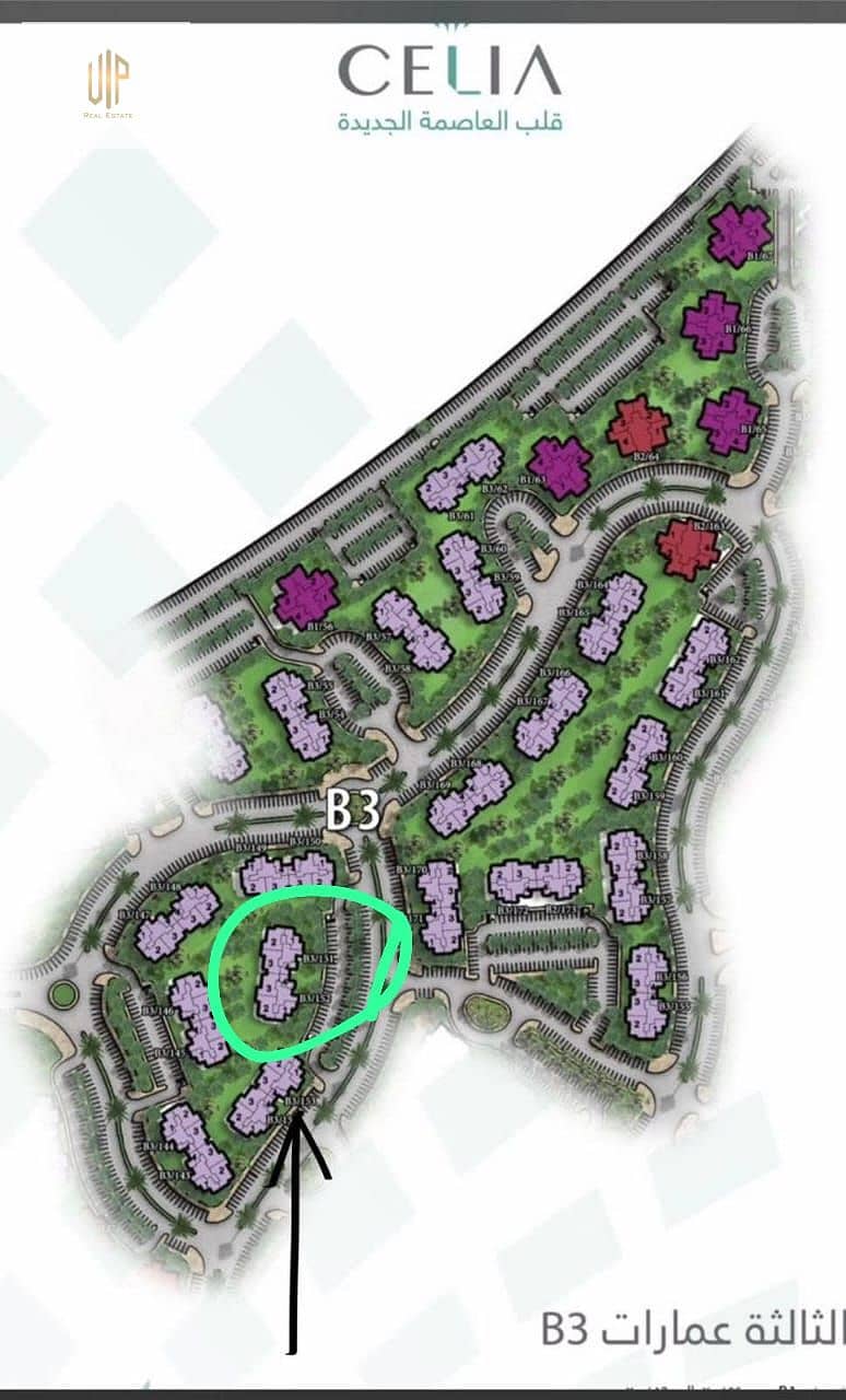 2 WhatsApp Image 2025-12-18 at 11.21. 22 AM. jpeg