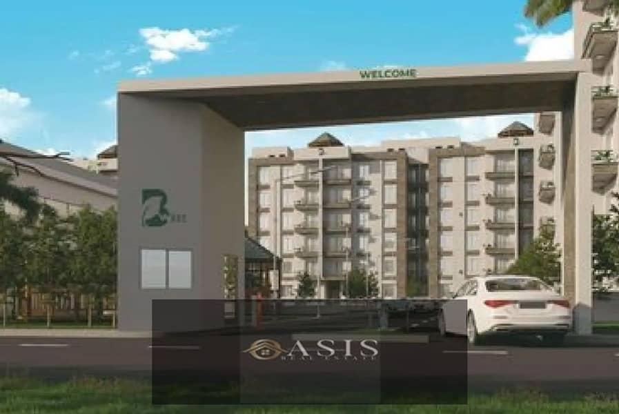 8 8303862-cccf4o. jpg