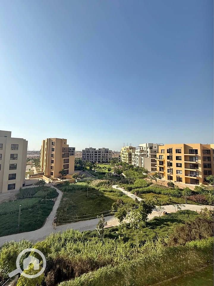 10 521679788_1242798437581881_4661344182352544968_n. jpg