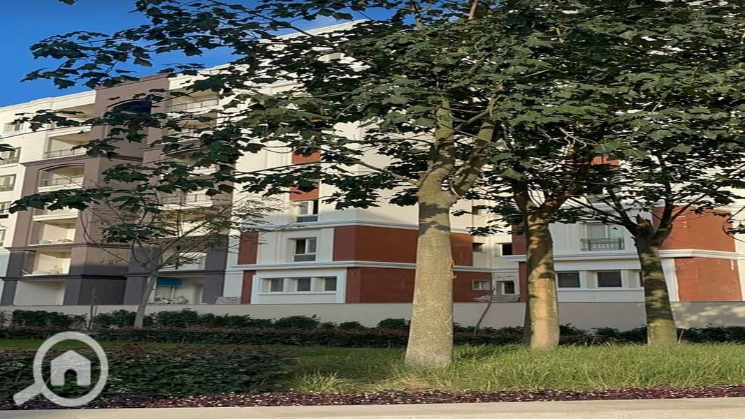 4 d54498f3-372c-4e4d-8f54-528218d50d6b. jpg