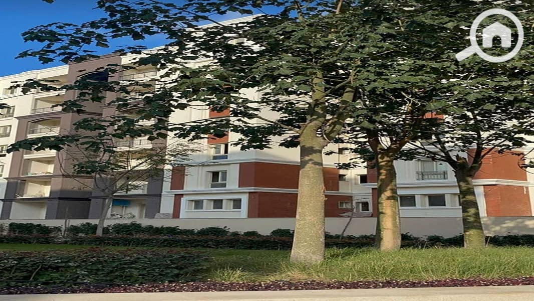 4 d54498f3-372c-4e4d-8f54-528218d50d6b. jpg