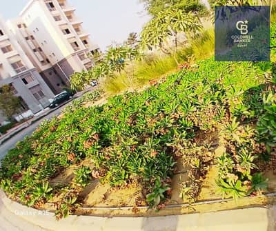 1 Bedroom Apartment for Sale in New Cairo, Cairo - WhatsApp Image 2025-12-18 at 3.06. 53 AM. jpeg