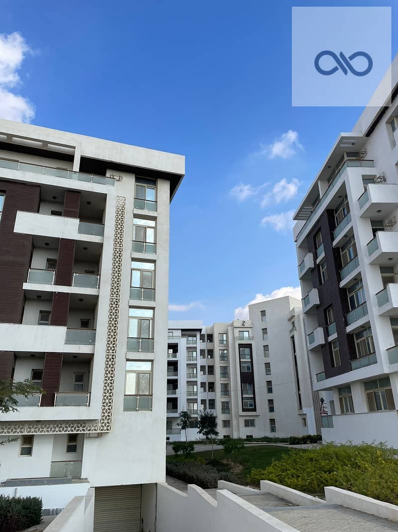 4 17232847534-135. jpeg