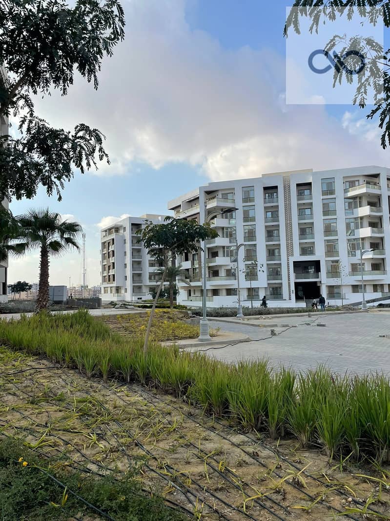 5 17232847532-135. jpeg