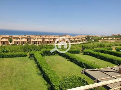 4 Bedroom Twin House for Sale in Ain Sukhna, Suez - IMG-20251221-WA0148. jpg