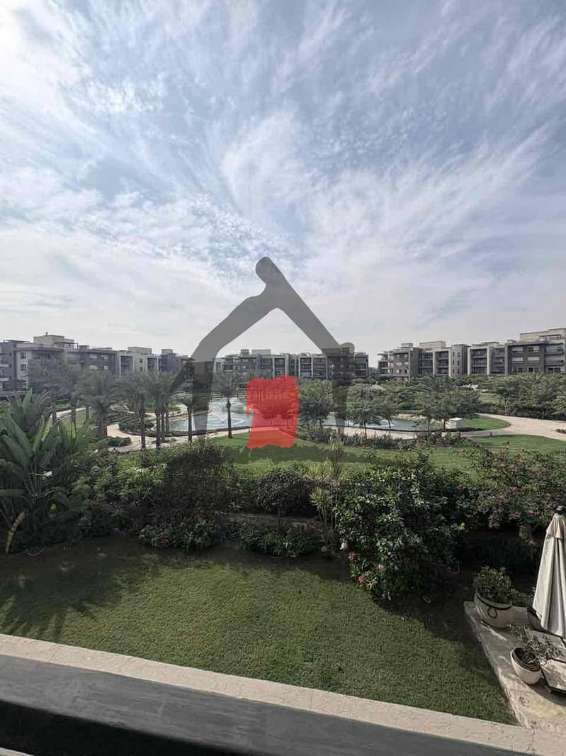 11 7a56be46-5f7c-4db1-8dc5-97d3b0cd9997. jpg