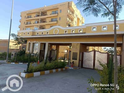 3 Bedroom Apartment for Rent in New Cairo, Cairo - 1000127683. jpg