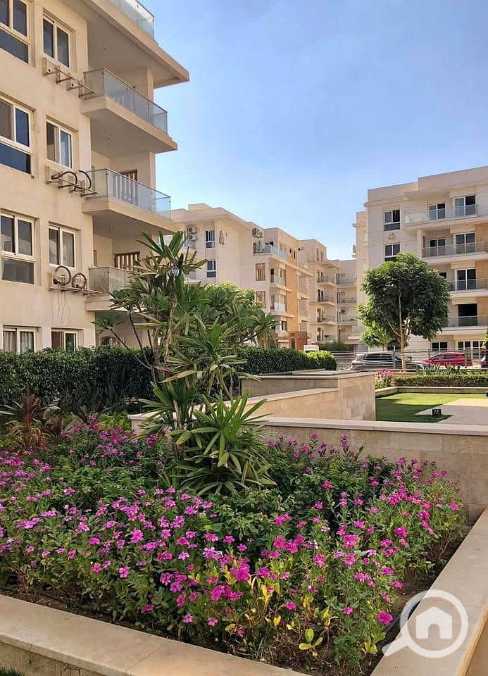 5 597383839_1902903297315044_4326787250559063073_n. jpg