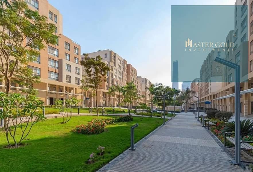 11 Capturddddse. JPG