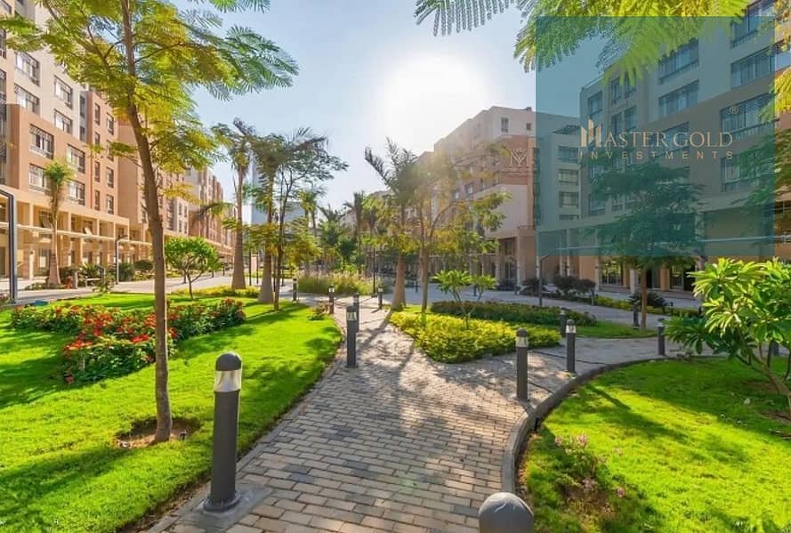 13 Capturffdfde. JPG