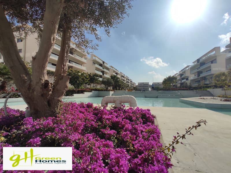 10 WhatsApp Image 2025-12-11 at 16.59. 15_c3c94e41. jpg