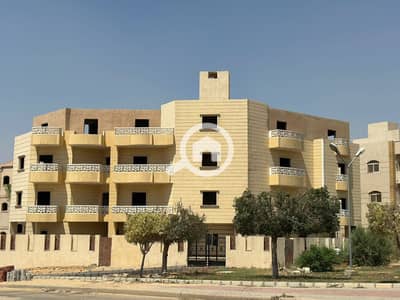 3 Bedroom Apartment for Sale in Shorouk City, Cairo - WhatsApp Image 2025-08-26 at 6.22. 40 PM. jpeg