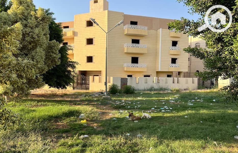 10 WhatsApp Image 2024-08-12 at 18.25. 20. jpeg