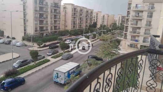 فلیٹ 3 غرف نوم للايجار في القاهرة الجديدة، القاهرة - 1000523817. jpg