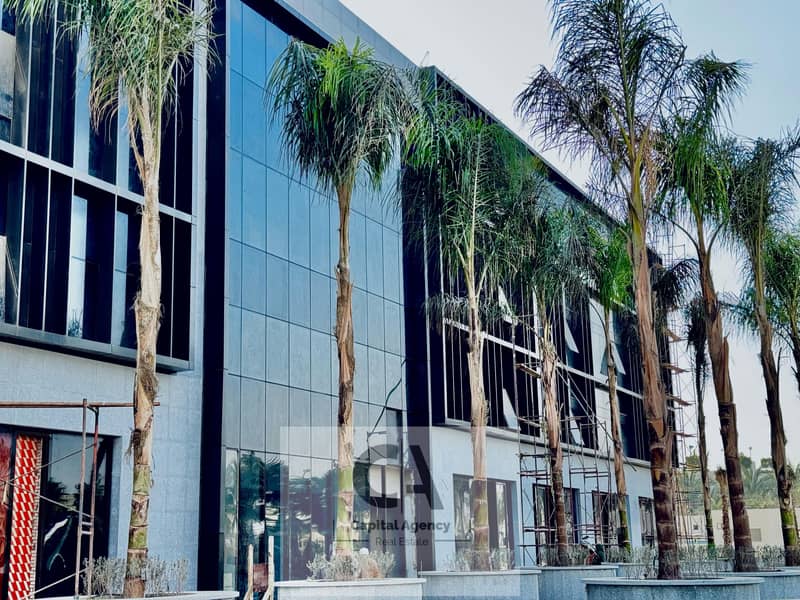 3 1cbceaa7-e41a-4f8b-8541-d0d9c39a8b57. jpg