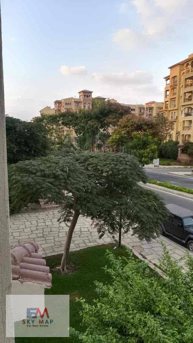 13 877c43db-9249-443f-9c20-3258fb6676e0. jpg