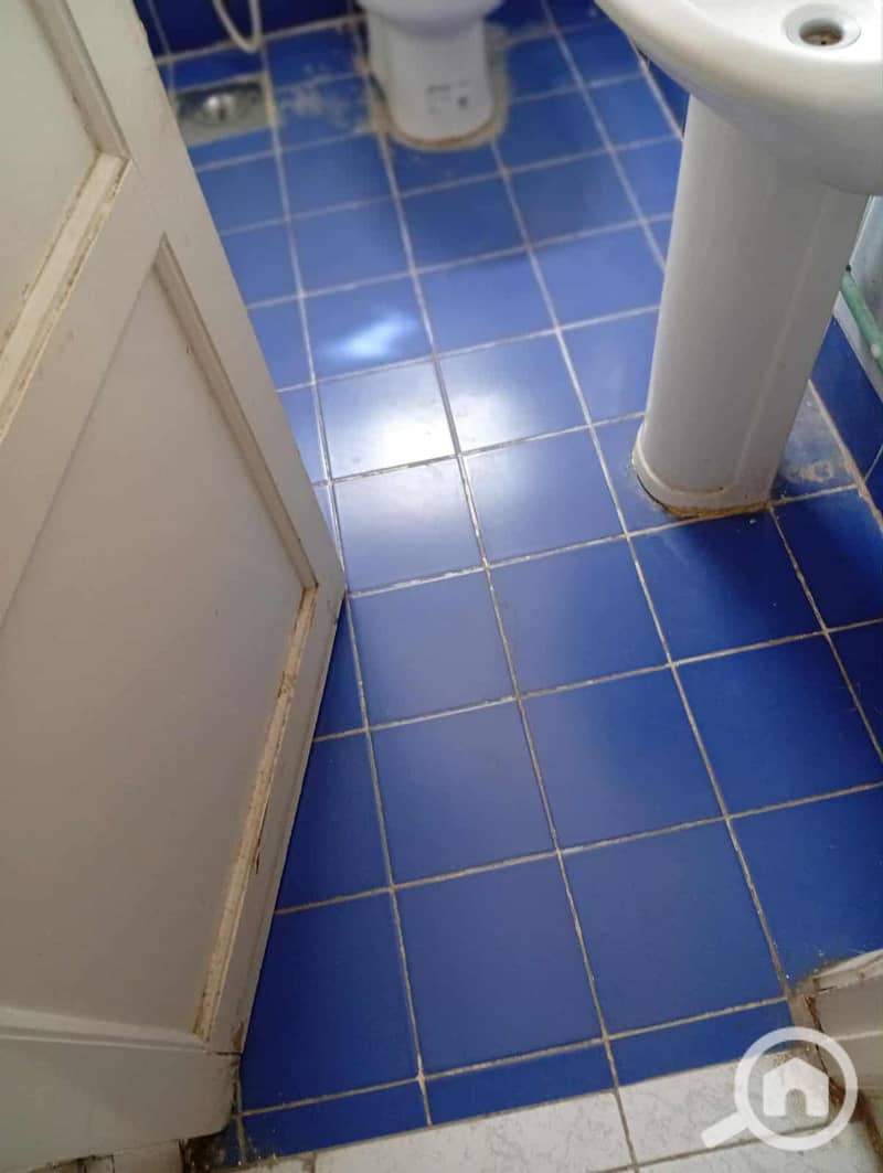 8 1387bdf6-a0a9-4b9d-9f01-eaab85a0b909. jpg