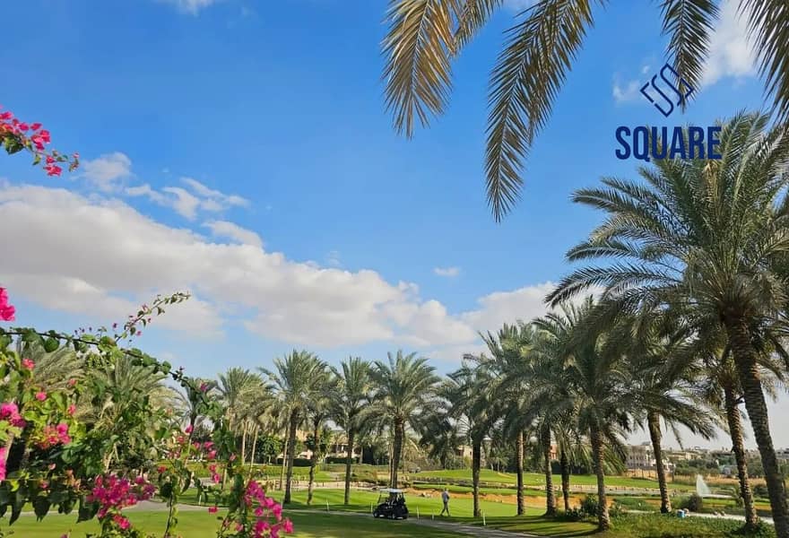 16 8398738-dcdcao. jpg