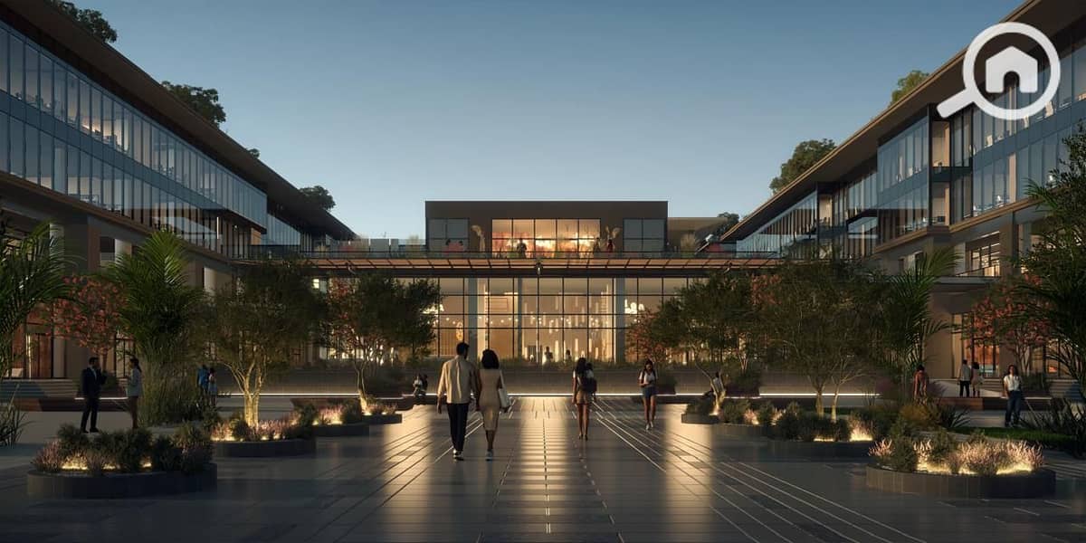 10 photo_2025-02-21_23-23-48. jpg