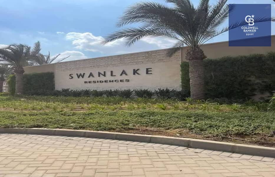 4 469225769_122160434186324825_7551854130127943325_n. jpg